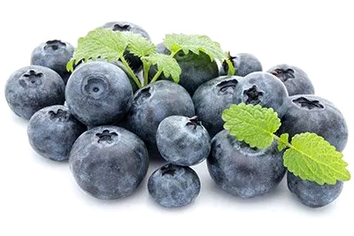 Bilberry (Berry)