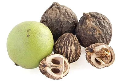 Black Walnut (Hulls)