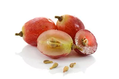 Grape Seed Extract (Seed)