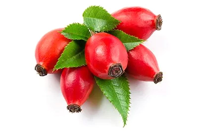 Rosehips (Hip)