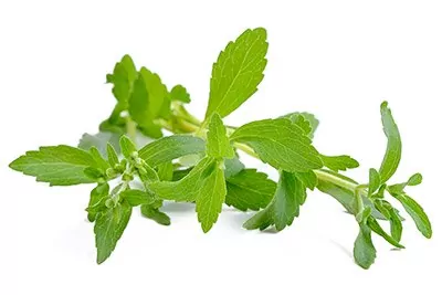 Stevia (Leaf)